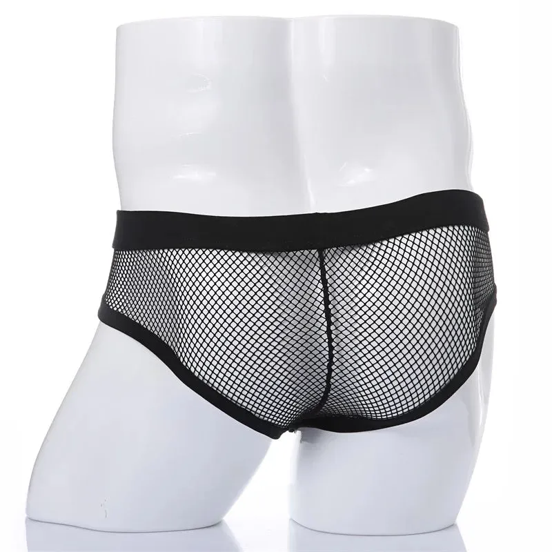 Fishnet Mesh Spandex Transparent Brief