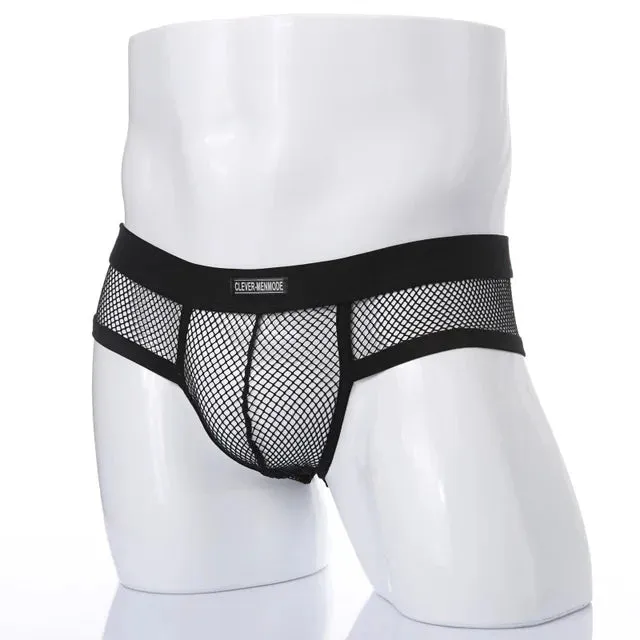 Fishnet Mesh Spandex Transparent Brief