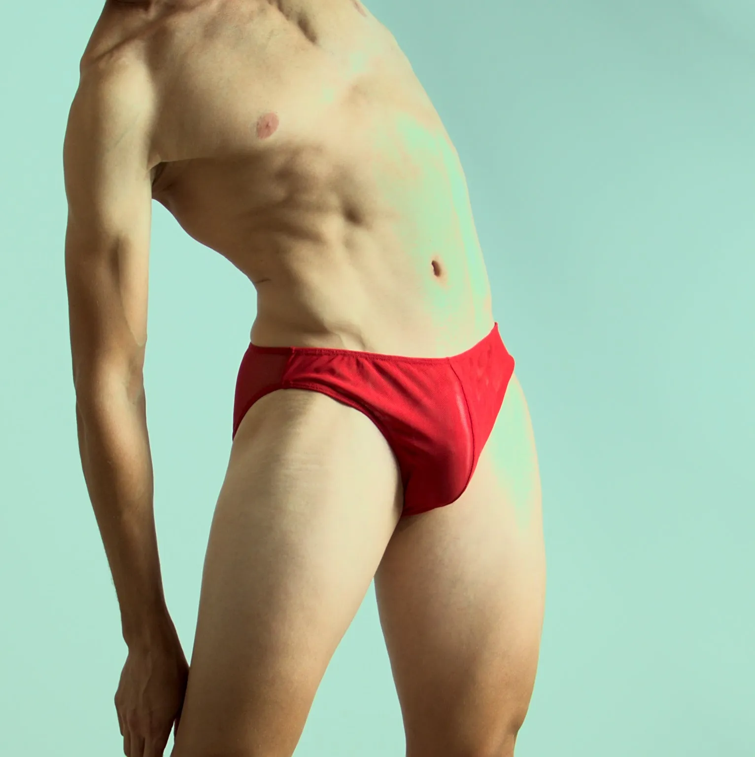 Mesh Bikini Brief Red by Etseo