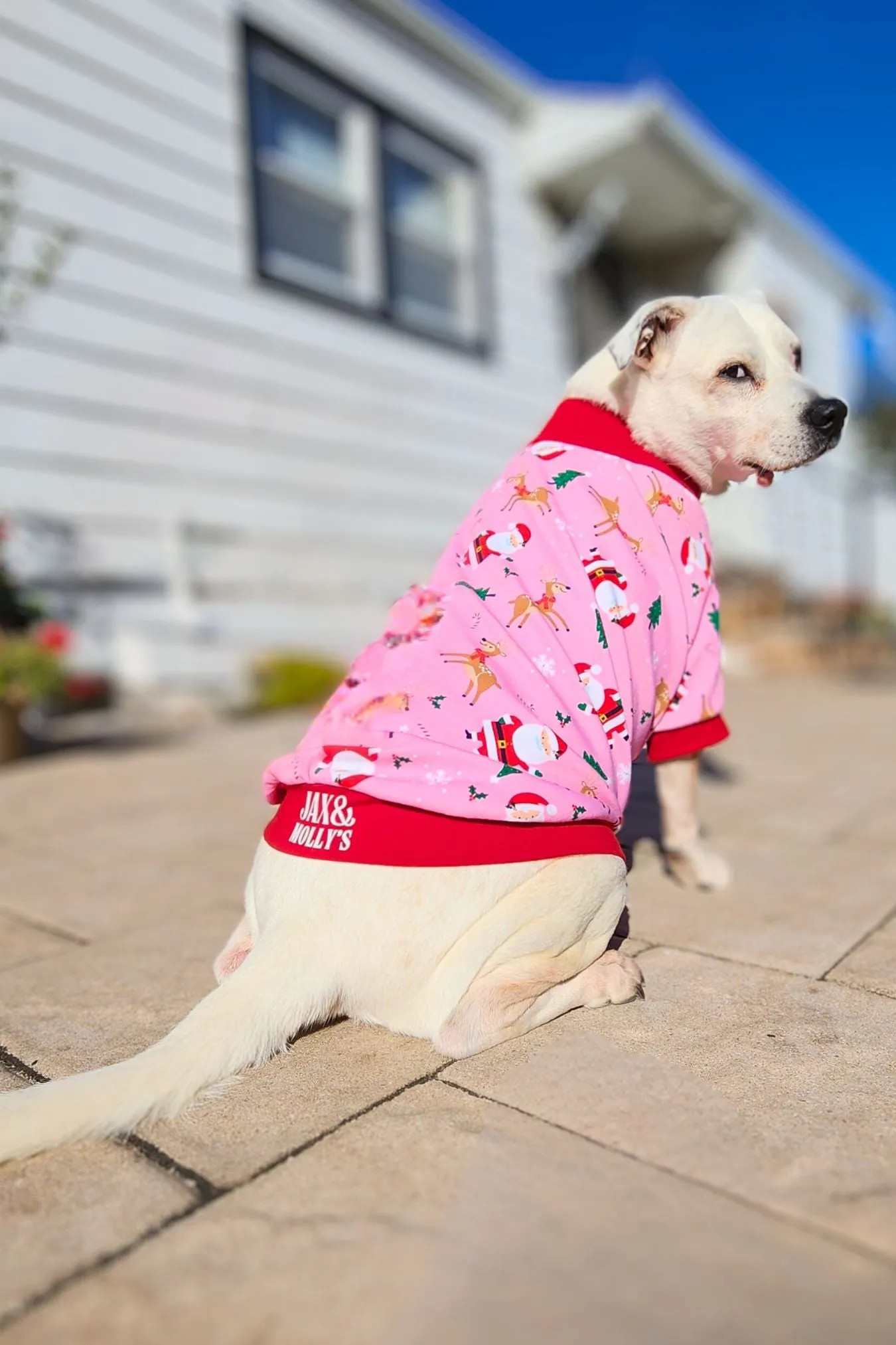 Santa & Friends Dog Pajamas